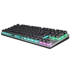 Altec Lansing ALGK8404GR Siyah/Gümüş RED SWITCH Rainbow 87 Tuşlu Süper Kompakt Mekanik Gaming Oyuncu Klavye